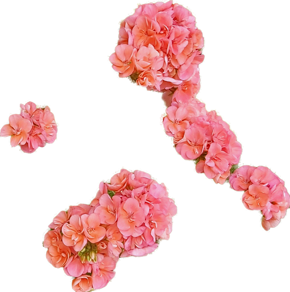 20210311_223303.png