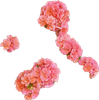 20210311_223303.png