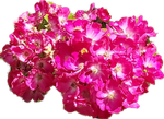 20210311_223958.png