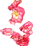 20210311_223916.png