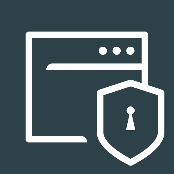 TT Website Security Icon