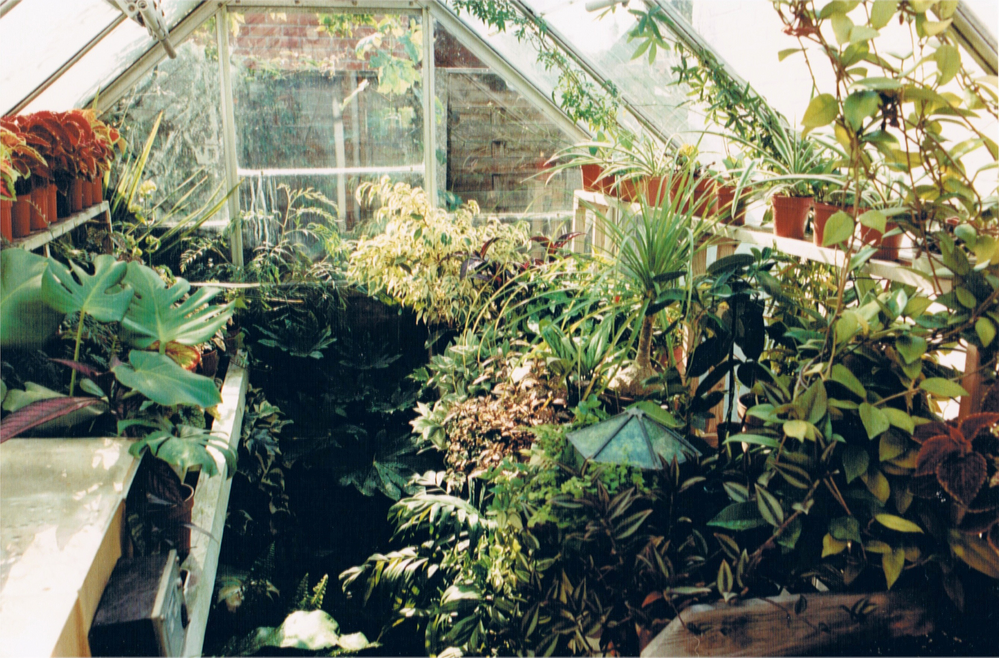 Greenhouse c1989.png