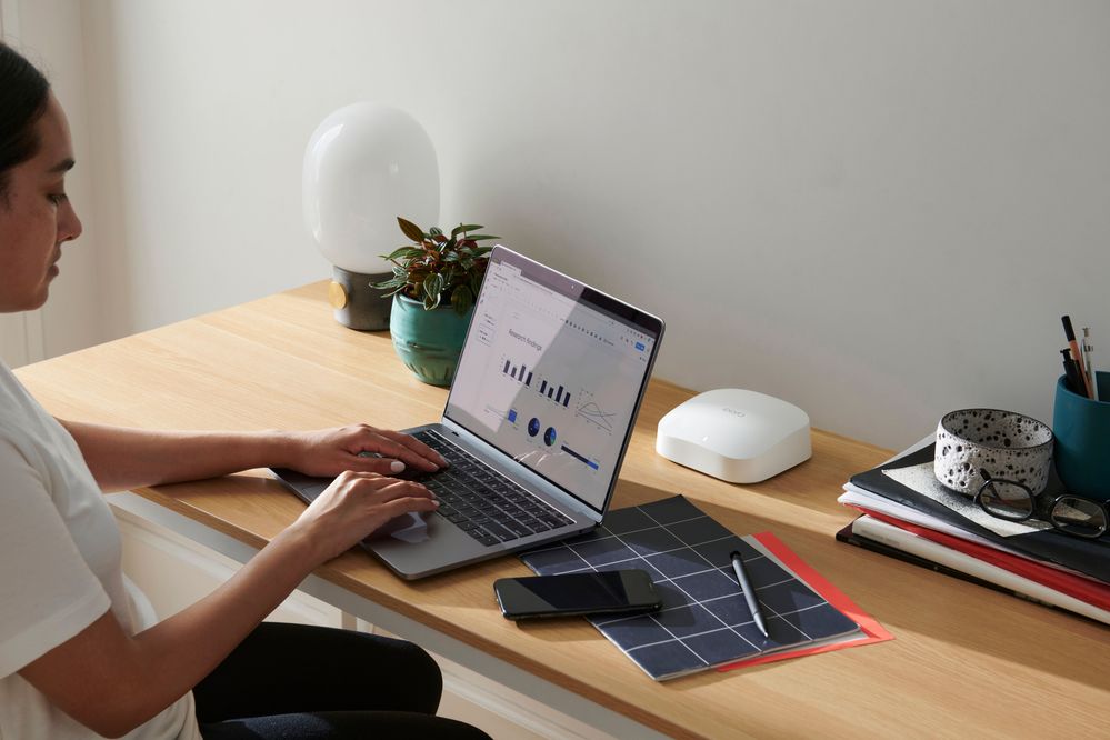 Shot_11-Adults_Desk-0698_final2_VL04_eeroPro6.jpg