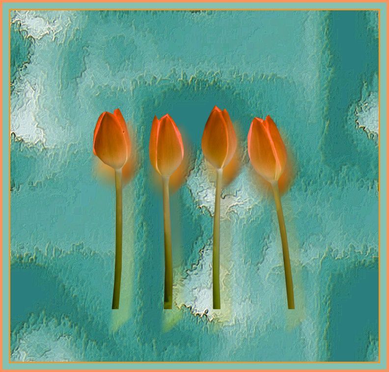 four tulips..jpg