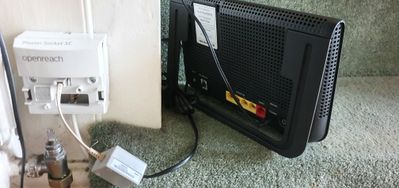 20220407_071640.jpg