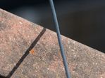 DSC_3076_2.JPG