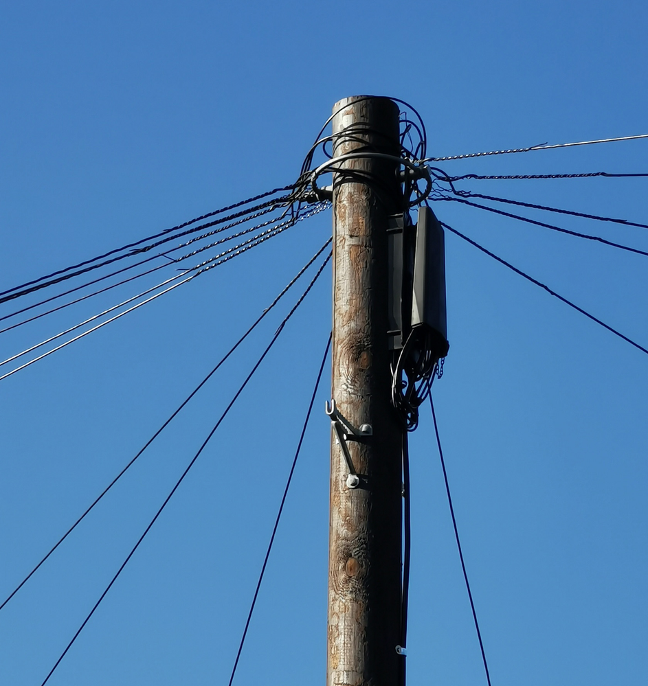 illfitting JB Cover.png