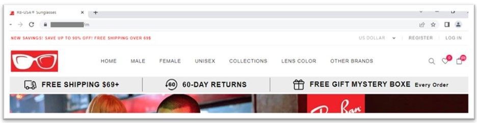 RayBan fake site picture1