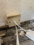 IMG_7386.jpeg