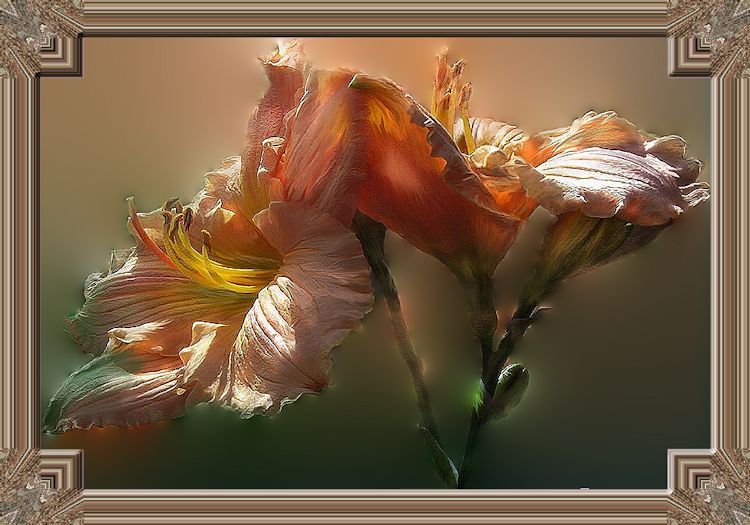 flowers.jpg