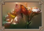 flowers.jpg