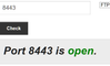 Tested 8443 with port 443 open on PC