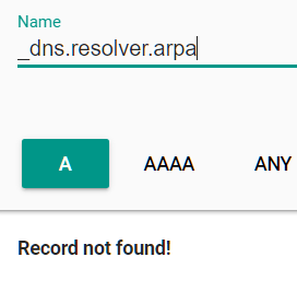 DNS Request not returning an IP address