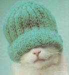 blindcat?