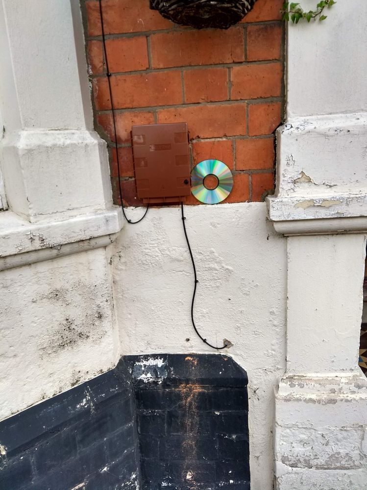 External (cd for size)