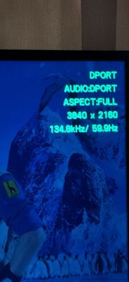 IMG_20240118_173745.jpg