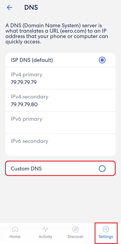 Select a Custom DNS