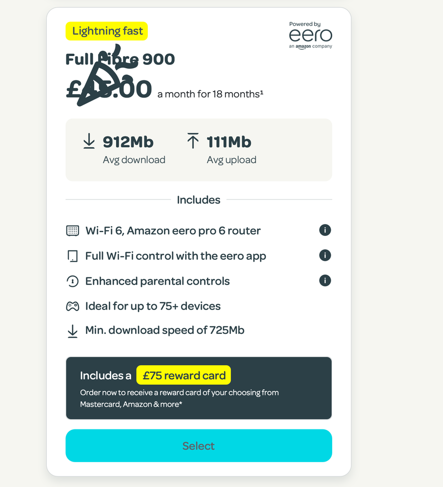 Our offer