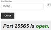TCP 25565