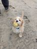 IMG-20241225-WA0004.jpg