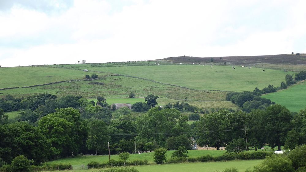 DSCF3032.JPG