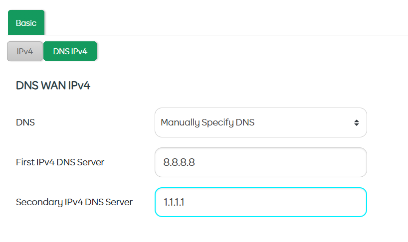 Network DNS servers
