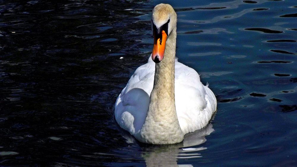 DSCF2522.JPG