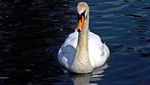 DSCF2522.JPG