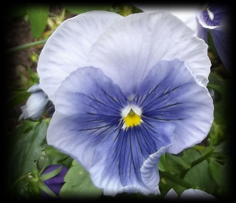 DSCF2824.JPG