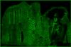 castle night windsor.jpg