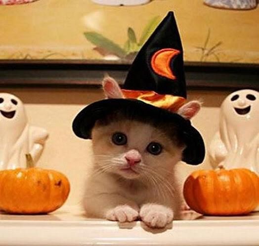 halloween.jpg