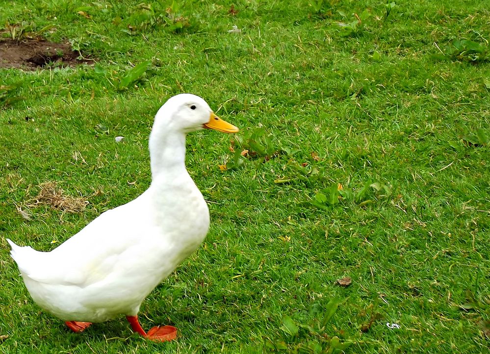 DSCF3053.JPG