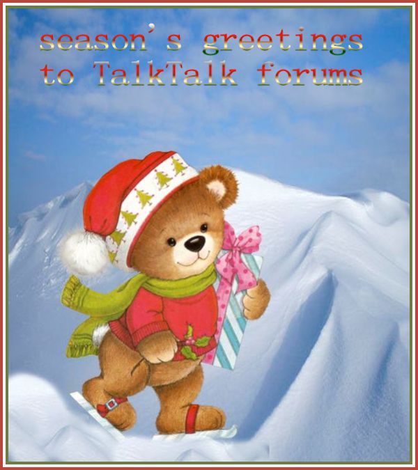 bear in snow.jpg