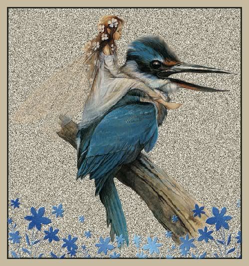 fairy kingfisher.jpg