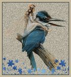 fairy kingfisher.jpg