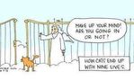 gate.jpg
