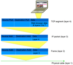 7 layer model extracts 1.png