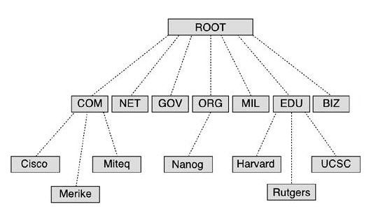 dns hierarchy.jpg