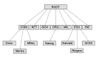 dns hierarchy.jpg